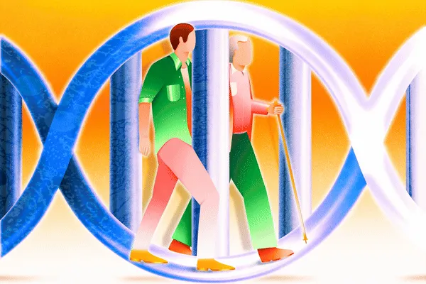 r9d3rcojijo9p1izabgp