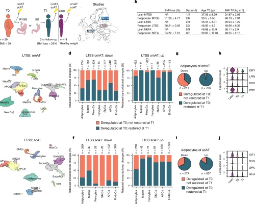 41586_2024_8165_Fig1_HTML