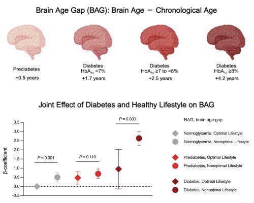 5b66a3aa-9d53-4c4b-9db3-a2274187cb87_2574x2030