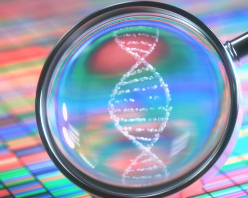 AdobeStock_188814004-1600x900