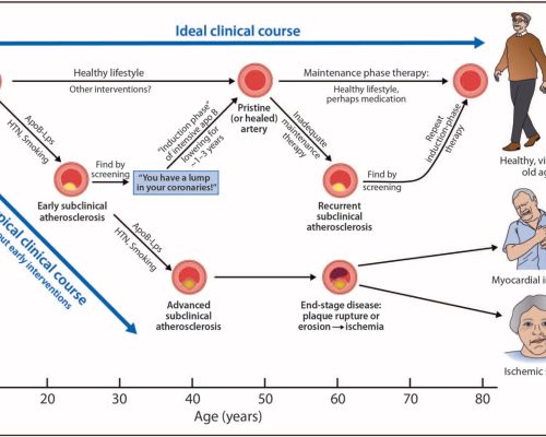 Original.00041433-990000000-00106.F1