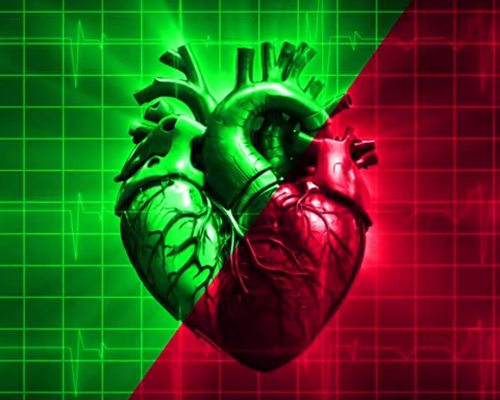 Screenshot 2024-09-26 204618