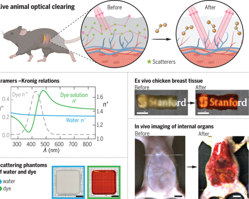 Screenshot 2025-01-11 at 17-40-24 science.adm6869-fa.jpg (JPEG Image 2849 × 2227 pixels) — Scaled (31_)