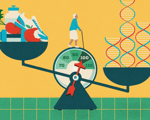 Screenshot 2025-01-11 at 18-01-37 08WELL-LONGEVITY-INFLUENCES-superJumbo.jpg (JPEG Image 2048 × 1365 pixels) — Scaled (51_)