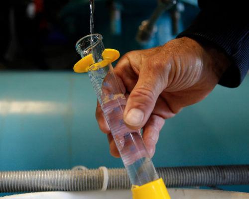 Screenshot 2025-01-11 at 18-03-06 07fluoride-superJumbo.jpg (JPEG Image 1366 × 2048 pixels) — Scaled (34_)