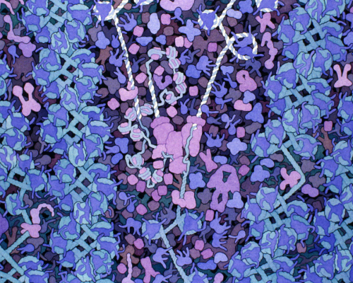 Screenshot 2025-01-25 at 11-33-00 imrs.php (AVIF Image 1200 × 800 pixels) — Scaled (87_)