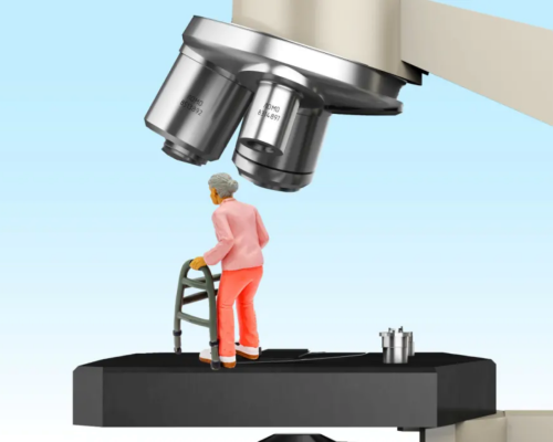 Screenshot 2025-02-08 at 19-05-07 s0uezl7m0uckepobbiey.webp (WEBP Image 1050 × 700 pixels)