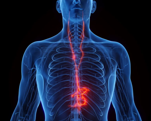 Screenshot 2025-02-08 at 19-11-18 (WEBP Image 1100 × 619 pixels)