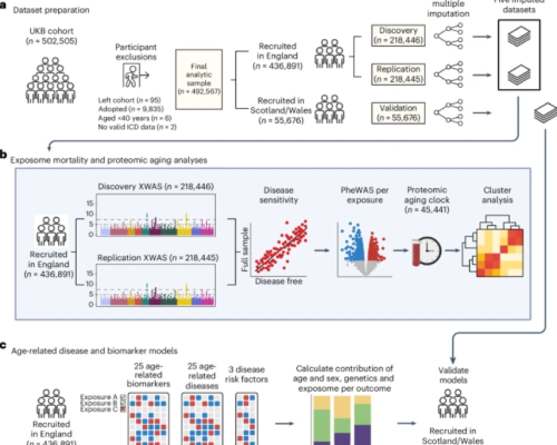 Screenshot 2025-02-23 at 18-12-07 41591_2024_3483_Fig1_HTML.png (WEBP Image 685 × 573 pixels)