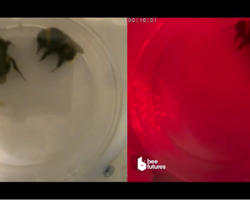 Screenshot 2025-03-15 at 21-23-35 Red Light Therapy Gets the Green Light Sort Of - WSJ