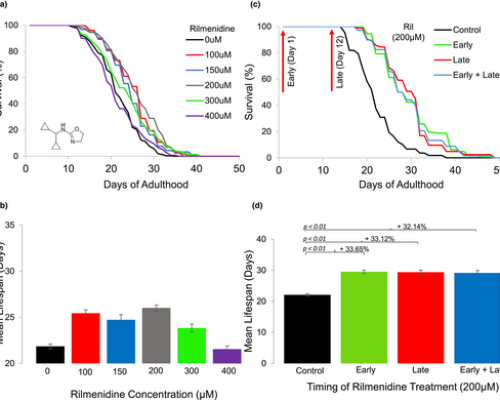 acel13774-fig-0001-m