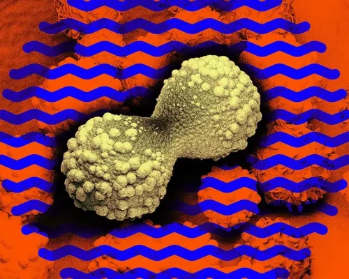 cancer-vaccines-mrna-future