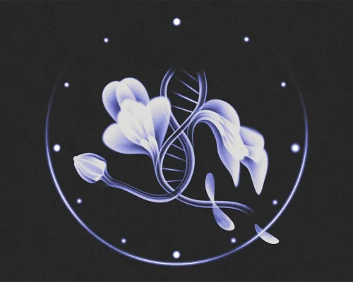 d41586-025-00566-6_50673278