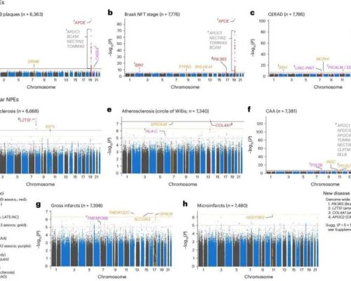 researchers-uncover-ge-1