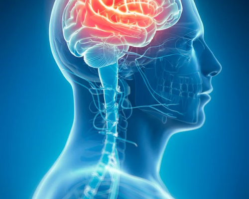 signal-2024-10-26-105756